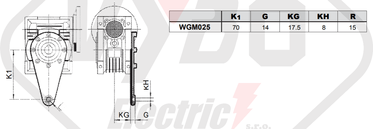 torzné rameno prevodovka wgm025