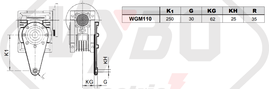 torzné rameno prevodovka wgm110