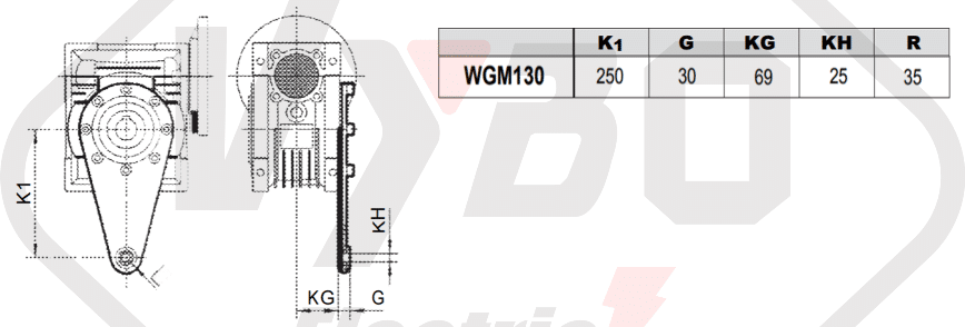 torzné rameno prevodovka wgm130